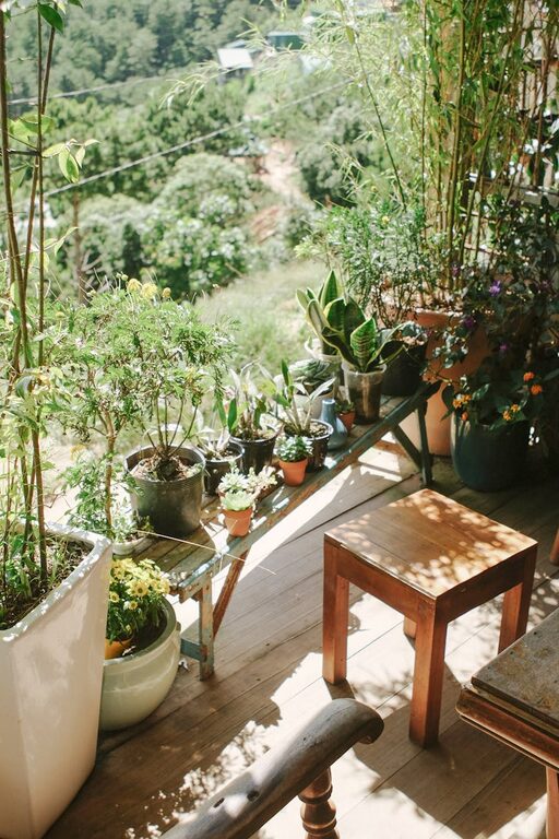 Simple Steps to Create a Relaxing Home Garden for Beginners